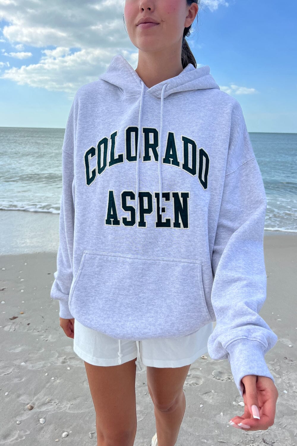 Chicago Colorado Aspen Hoodie