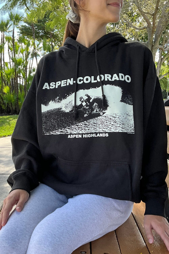 Christy Aspen Colorado Hoodie Brandy Melville