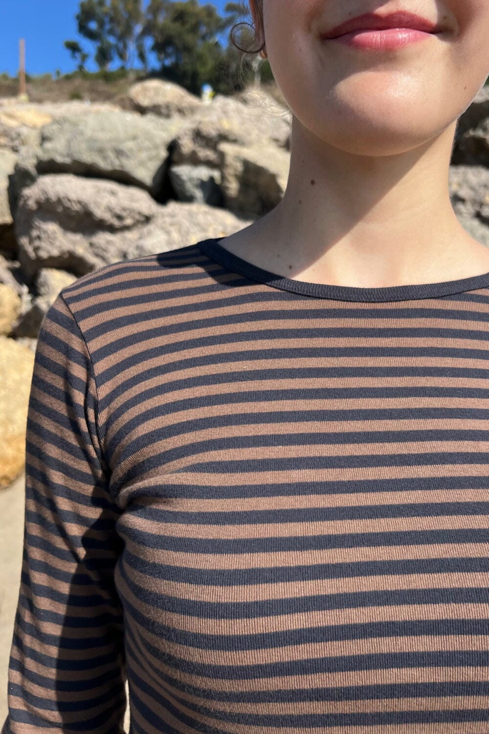 Brown With Black Stripes / XS/S