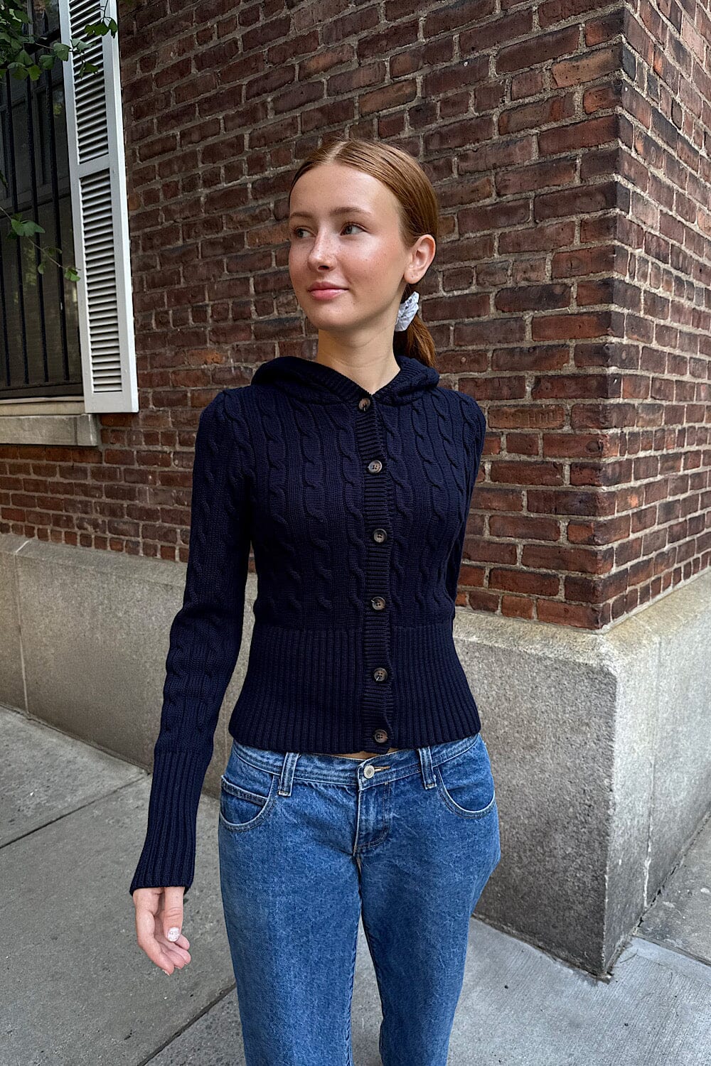 バランタイン 長袖 ニット セーター 紺系 ネイビー 透け感 リブ 総柄 Aura Cable Knit Cardigan – Brandy Melville