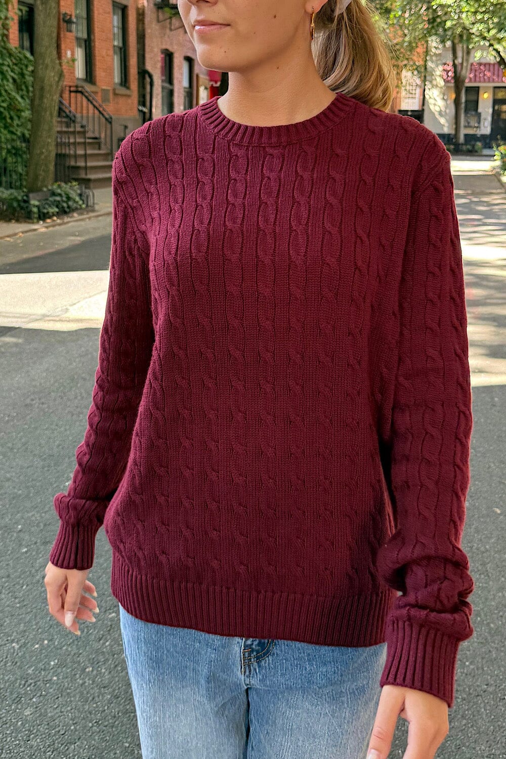Burgundy / Regular Fit