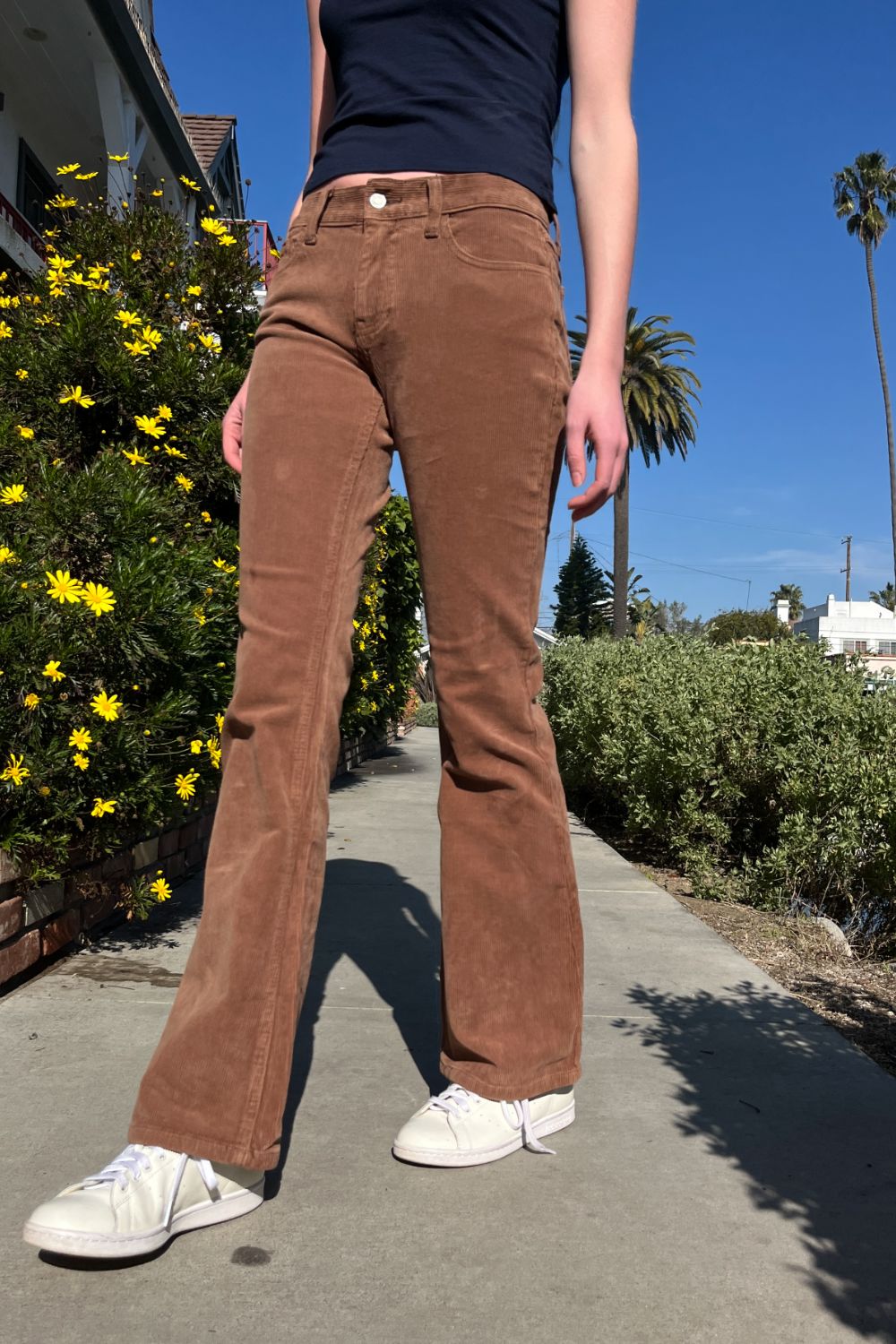 Brown / S