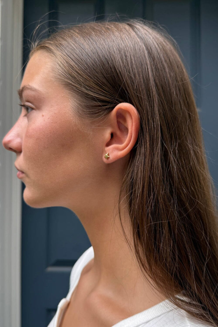 Star Earrings