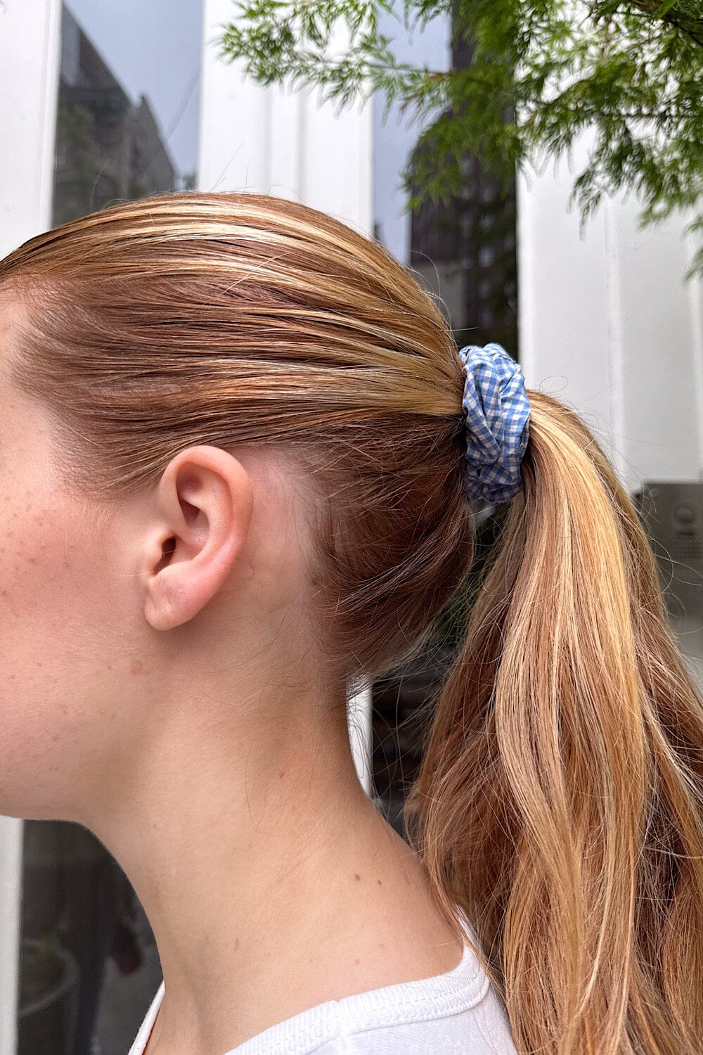 Blue And White Plaid